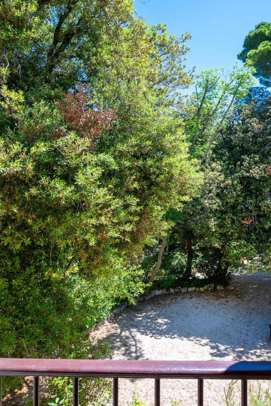 Double or Twin Room Garden View